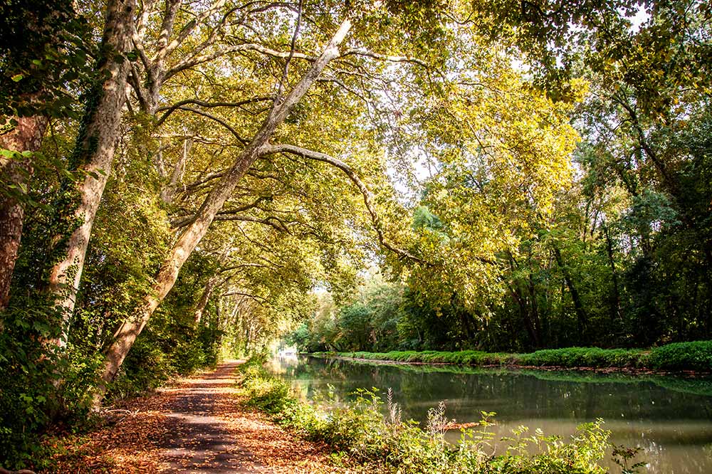 La voie verte du Canal de Berry